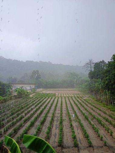 picture Land for sale in Bowin, Sriracha, Chonburi. Beautiful plot, excellent location, next to the mountains. - 4/14