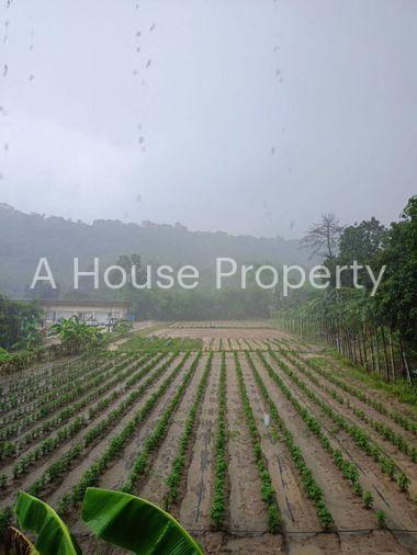 รูป ขายที่ดินบ่อวิน ศรีราชา ชลบุรี แปลงสวย ทำเลดี ติดภูเขา - รูปที่ 4/14