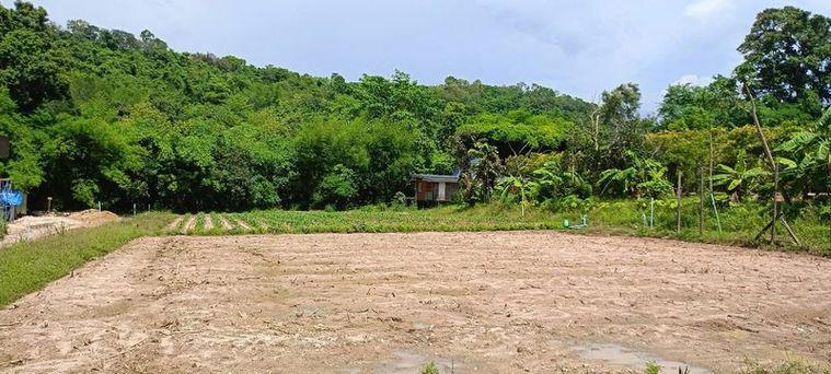 picture Land for sale in Bowin, Sriracha, Chonburi. Beautiful plot, excellent location, next to the mountains. - 8/14