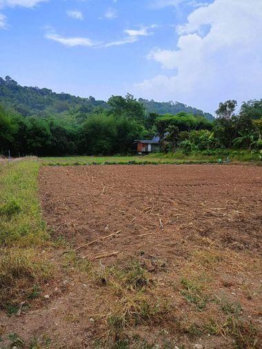 picture Land for sale in Bowin, Sriracha, Chonburi. Beautiful plot, excellent location, next to the mountains. - 12/14