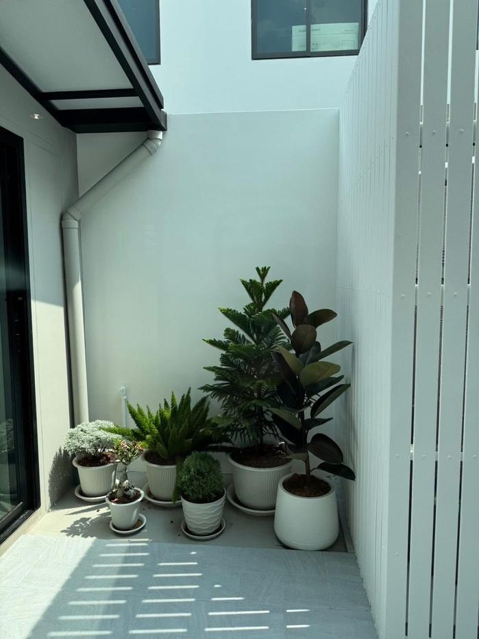 รูป 🏠 ให้เช่าบ้าน : Pleno Sukhumvit - Bangna 4 (พลีโน่ สุขุมวิท - บางนา 4)   รหัสทรัพย์ | 📌LNP-H1010  - รูปที่ 15/16