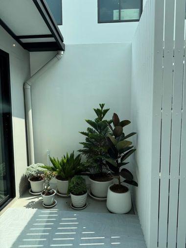 รูป 🏠 ให้เช่าบ้าน : Pleno Sukhumvit - Bangna 4 (พลีโน่ สุขุมวิท - บางนา 4)   รหัสทรัพย์ | 📌LNP-H1010  - รูปที่ 15/16