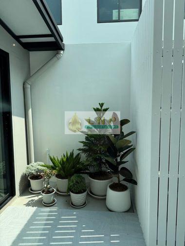 รูป 🏠 ให้เช่าบ้าน : Pleno Sukhumvit - Bangna 4 (พลีโน่ สุขุมวิท - บางนา 4) รหัสทรัพย์ | 📌LNP-H1010 - รูปที่ 15/16