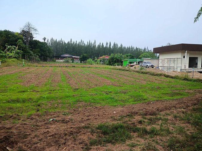picture Land for sale in Bowin, Sriracha, Chonburi. Beautiful plot, excellent location, next to the mountains. - 9/14
