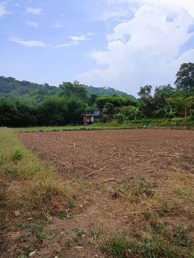 picture Land for sale in Bowin, Sriracha, Chonburi. Beautiful plot, excellent location, next to the mountains. - 11/14