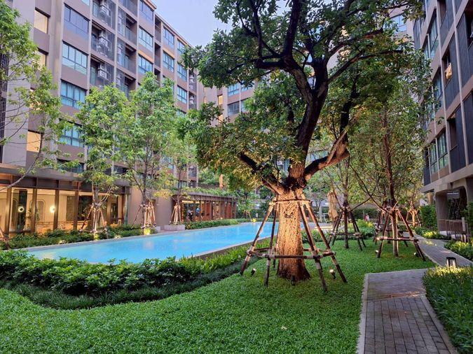 รูป 🏙️ให้เช่าคอนโด Dcondo Calm Ramkhamhaeng 40 - ห้องสวยไม่เคยมีใครเข้าอยู่ - รูปที่ 5/7