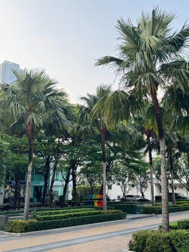 รูป 🏢 ขายคอนโด : T.C. Green (ที.ซี. กรีน)   รหัสทรัพย์ | 📌LNP-C12676  - รูปที่ 12/12
