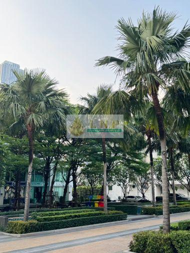 รูป 🏢 ขายคอนโด : T.C. Green (ที.ซี. กรีน) รหัสทรัพย์ | 📌LNP-C12676 - รูปที่ 12/12