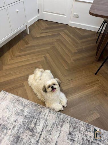 รูป 🐶😻Pet Friendly 2b1b 3.49mb - Grand Park Town 📞Call 090 919 9898 - รูปที่ 4/8