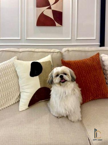 รูป 🐶😻Pet Friendly 2b1b 3.49mb - Grand Park Town 📞Call 090 919 9898 - รูปที่ 2/8