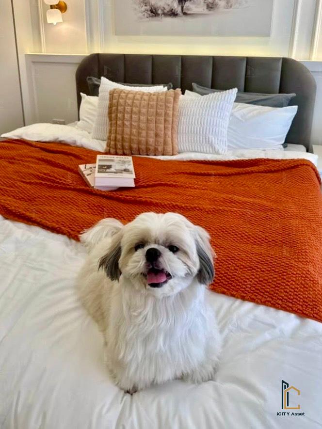 picture 🐶😻Pet Friendly 2b1b 3.49mb - Grand Park Town 📞Call 090 919 9898 - 7/8