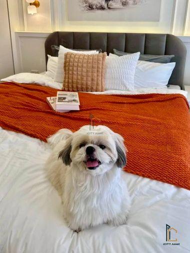 รูป 🐶😻Pet Friendly 2b1b 3.49mb - Grand Park Town 📞Call 090 919 9898 - รูปที่ 7/8