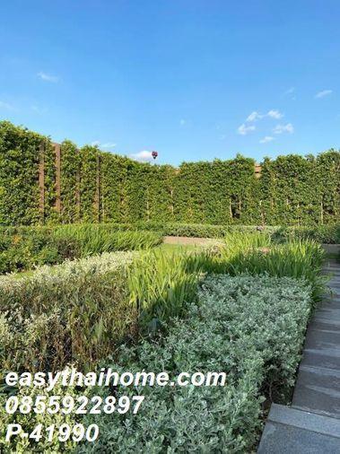 รูป P-41990 วิวสวย ใจกลางเมือง! OKA Haus สุขุมวิท 36, 1 ห้องนอน, ชั้น 27 Line Id: @easythaihome 085-592-2897 - รูปที่ 14/19