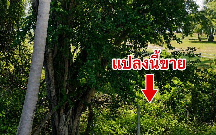 picture Land in Prachuap Khiri Khan, Bon Nok, beachfront. High-potential land that can generate future income. - 1/7