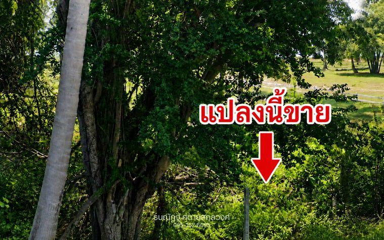 picture Land in Prachuap Khiri Khan, Bon Nok, beachfront. High-potential land that can generate future income. - 1/7