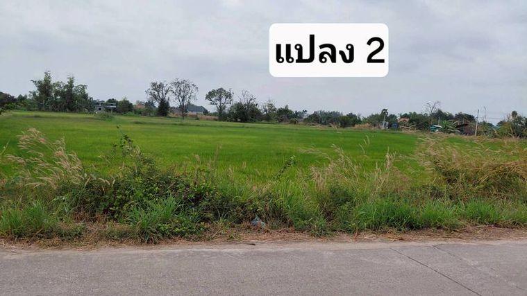 รูป ขายที่ดินสวย หนองหงส์ พานทอง ชลบุรี ใกล้หมู่บ้านวิลล่าโคโม่ - รูปที่ 10/12