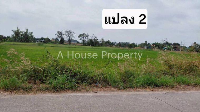 รูป ขายที่ดินสวย หนองหงส์ พานทอง ชลบุรี ใกล้หมู่บ้านวิลล่าโคโม่ - รูปที่ 10/12