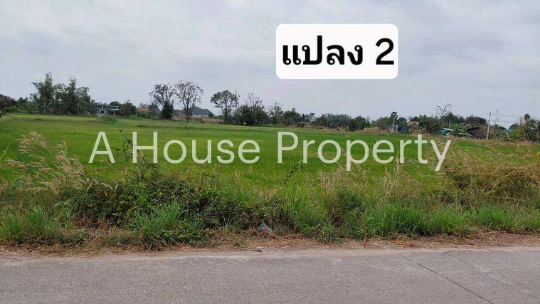 รูป ขายที่ดินสวย หนองหงส์ พานทอง ชลบุรี ใกล้หมู่บ้านวิลล่าโคโม่ - รูปที่ 10/12