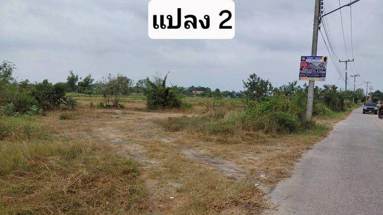 รูป ขายที่ดินสวย หนองหงส์ พานทอง ชลบุรี ใกล้หมู่บ้านวิลล่าโคโม่ - รูปที่ 12/12