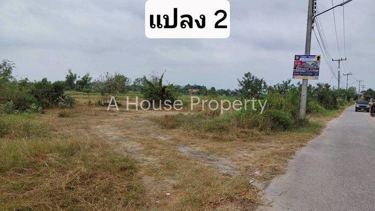 รูป ขายที่ดินสวย หนองหงส์ พานทอง ชลบุรี ใกล้หมู่บ้านวิลล่าโคโม่ - รูปที่ 12/12