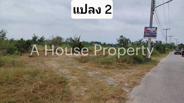 รูป ขายที่ดินสวย หนองหงส์ พานทอง ชลบุรี ใกล้หมู่บ้านวิลล่าโคโม่ - รูปที่ 12/12
