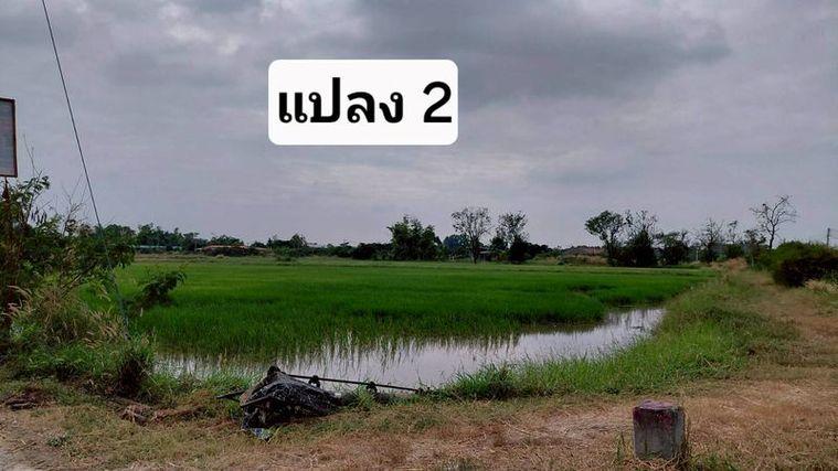 รูป ขายที่ดินสวย หนองหงส์ พานทอง ชลบุรี ใกล้หมู่บ้านวิลล่าโคโม่ - รูปที่ 8/12