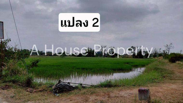 รูป ขายที่ดินสวย หนองหงส์ พานทอง ชลบุรี ใกล้หมู่บ้านวิลล่าโคโม่ - รูปที่ 8/12