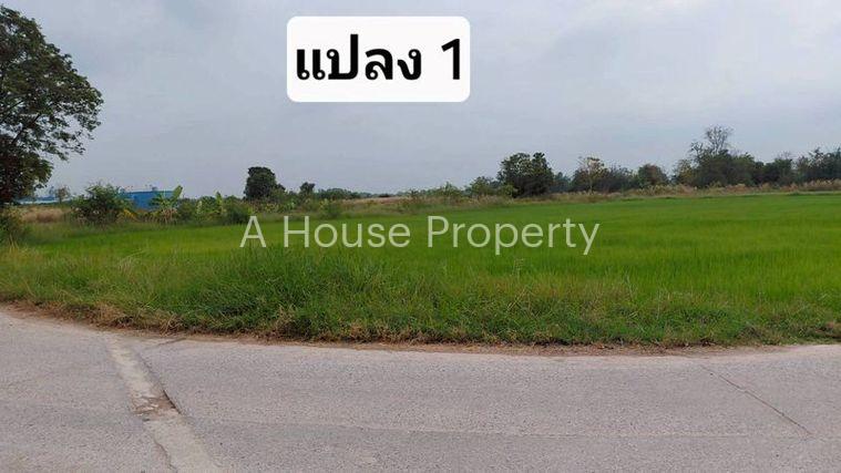 รูป ขายที่ดินสวย หนองหงส์ พานทอง ชลบุรี ใกล้หมู่บ้านวิลล่าโคโม่ - รูปที่ 2/12
