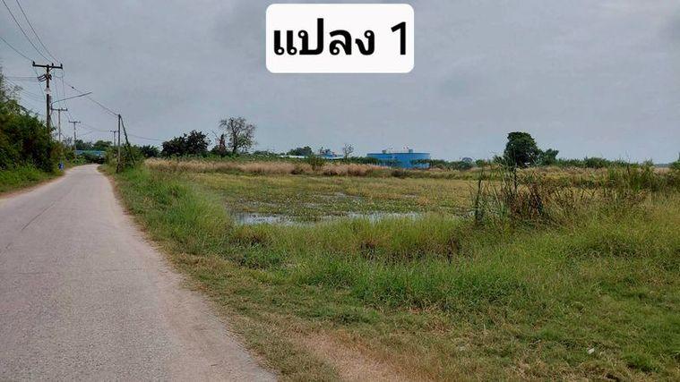 รูป ขายที่ดินสวย หนองหงส์ พานทอง ชลบุรี ใกล้หมู่บ้านวิลล่าโคโม่ - รูปที่ 5/12