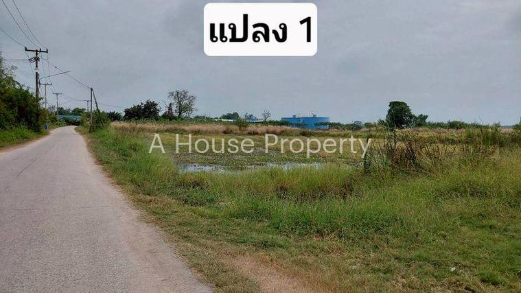 รูป ขายที่ดินสวย หนองหงส์ พานทอง ชลบุรี ใกล้หมู่บ้านวิลล่าโคโม่ - รูปที่ 5/12