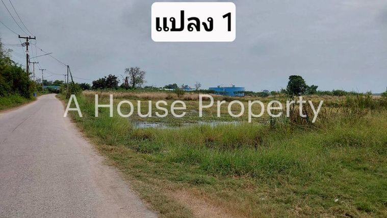 รูป ขายที่ดินสวย หนองหงส์ พานทอง ชลบุรี ใกล้หมู่บ้านวิลล่าโคโม่ - รูปที่ 5/12