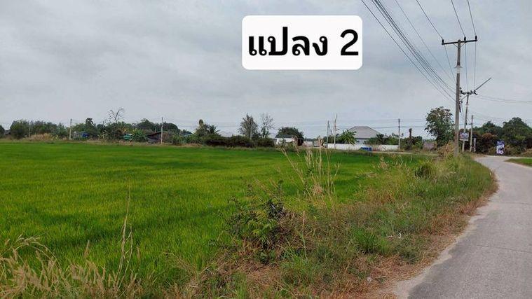 รูป ขายที่ดินสวย หนองหงส์ พานทอง ชลบุรี ใกล้หมู่บ้านวิลล่าโคโม่ - รูปที่ 9/12