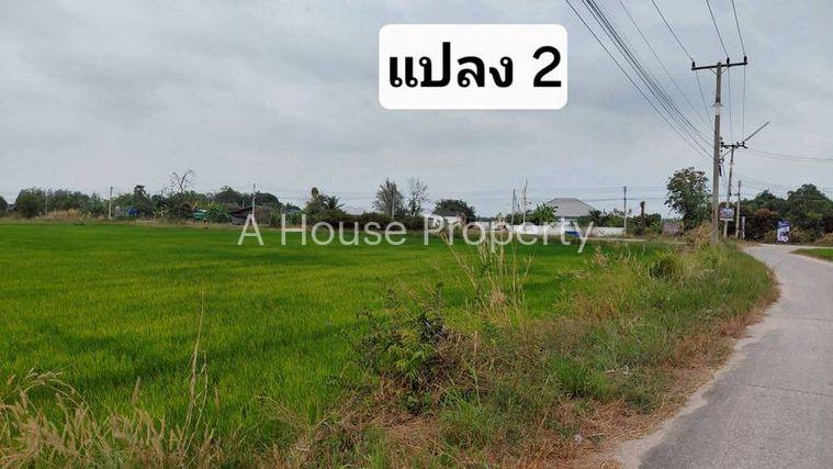 รูป ขายที่ดินสวย หนองหงส์ พานทอง ชลบุรี ใกล้หมู่บ้านวิลล่าโคโม่ - รูปที่ 9/12