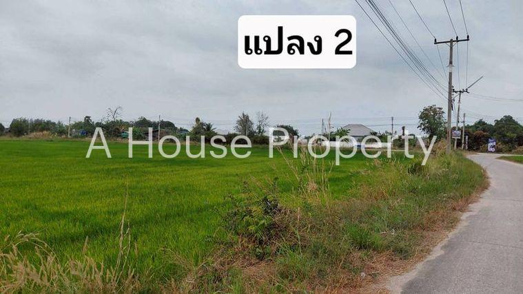 รูป ขายที่ดินสวย หนองหงส์ พานทอง ชลบุรี ใกล้หมู่บ้านวิลล่าโคโม่ - รูปที่ 9/12