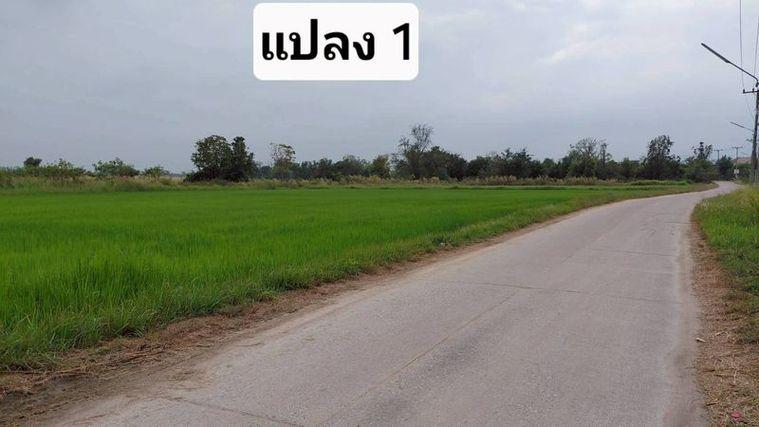 รูป ขายที่ดินสวย หนองหงส์ พานทอง ชลบุรี ใกล้หมู่บ้านวิลล่าโคโม่ - รูปที่ 4/12