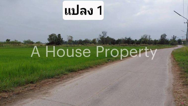 รูป ขายที่ดินสวย หนองหงส์ พานทอง ชลบุรี ใกล้หมู่บ้านวิลล่าโคโม่ - รูปที่ 4/12
