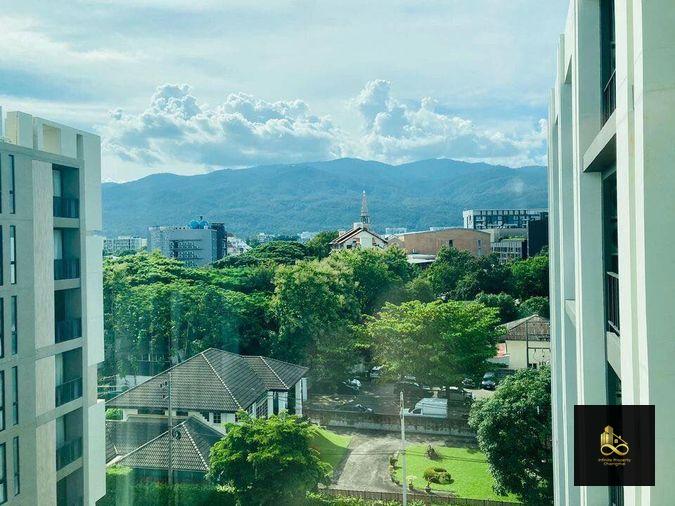 picture 📣 For Rent Palm Spring Phoenix – 1BR Condo next to One Nimman & opposite Maya Mall, Chiang Mai - 12/15