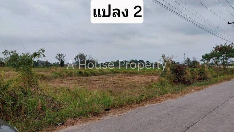 รูป ขายที่ดินสวย หนองหงส์ พานทอง ชลบุรี ใกล้หมู่บ้านวิลล่าโคโม่ - รูปที่ 11/12