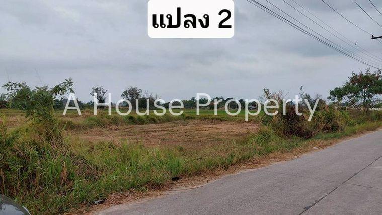 รูป ขายที่ดินสวย หนองหงส์ พานทอง ชลบุรี ใกล้หมู่บ้านวิลล่าโคโม่ - รูปที่ 11/12