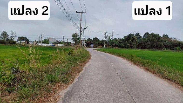 รูป ขายที่ดินสวย หนองหงส์ พานทอง ชลบุรี ใกล้หมู่บ้านวิลล่าโคโม่ - รูปที่ 7/12