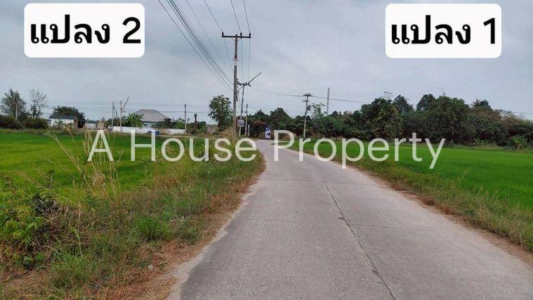 รูป ขายที่ดินสวย หนองหงส์ พานทอง ชลบุรี ใกล้หมู่บ้านวิลล่าโคโม่ - รูปที่ 7/12