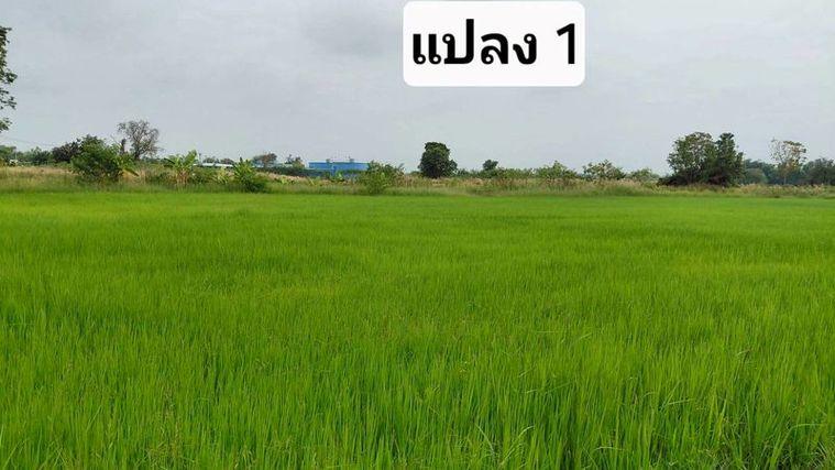 รูป ขายที่ดินสวย หนองหงส์ พานทอง ชลบุรี ใกล้หมู่บ้านวิลล่าโคโม่ - รูปที่ 1/12