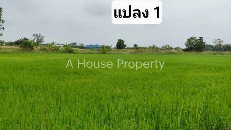 รูป ขายที่ดินสวย หนองหงส์ พานทอง ชลบุรี ใกล้หมู่บ้านวิลล่าโคโม่ - รูปที่ 1/12