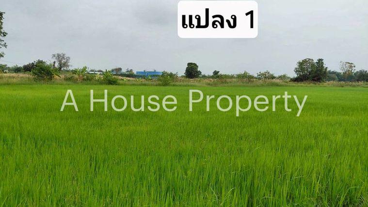 รูป ขายที่ดินสวย หนองหงส์ พานทอง ชลบุรี ใกล้หมู่บ้านวิลล่าโคโม่ - รูปที่ 1/12