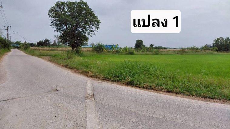 รูป ขายที่ดินสวย หนองหงส์ พานทอง ชลบุรี ใกล้หมู่บ้านวิลล่าโคโม่ - รูปที่ 3/12