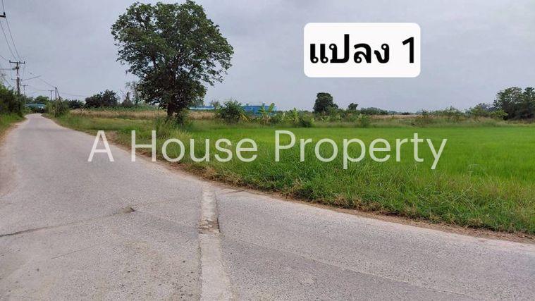 รูป ขายที่ดินสวย หนองหงส์ พานทอง ชลบุรี ใกล้หมู่บ้านวิลล่าโคโม่ - รูปที่ 3/12