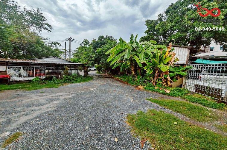 รูป ขายที่ดินเปล่า 558 ตร.ว. ติดถนนพหลโยธิน 48 (ซอยสายหยุด) บางเขน ใกล้ BTS  - รูปที่ 5/8