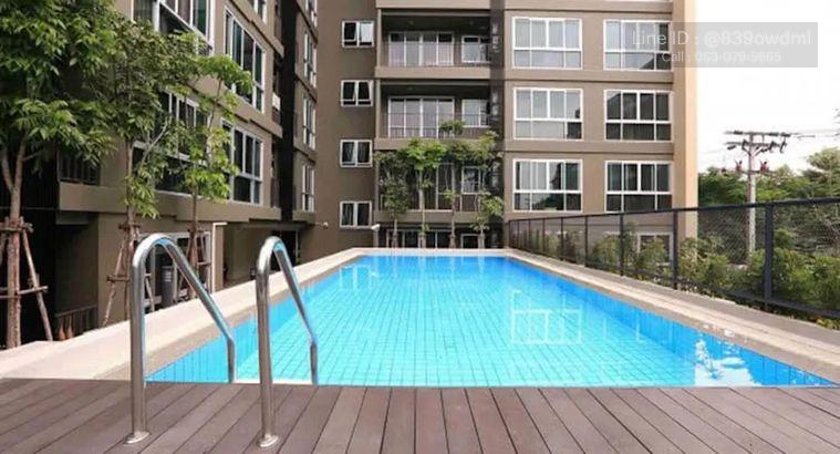 picture ð Urgently for rent : My Condo Sukhumvit 52 beautiful room, fully furnished, ready to move in. - 1/1