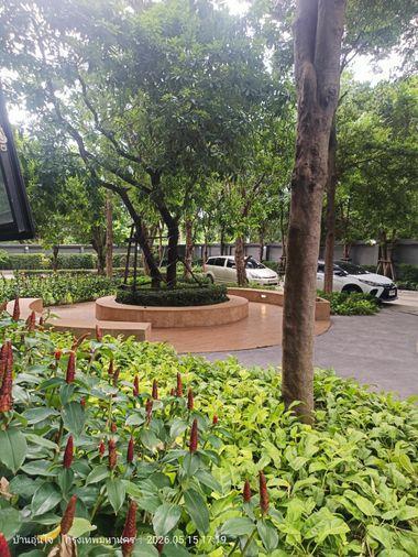 picture For sale : Aspire Sathorn-Taksin (Copper Zone) - 13/42