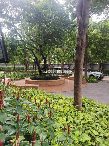 picture For sale : Aspire Sathorn-Taksin (Copper Zone) - 13/42